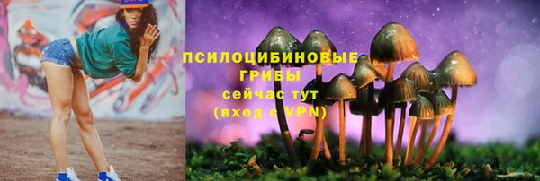 эйфоретик Алексеевка