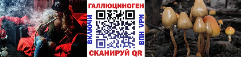 купить цена Ревда Галлюциногенные грибы MAGIC MUSHROOMS